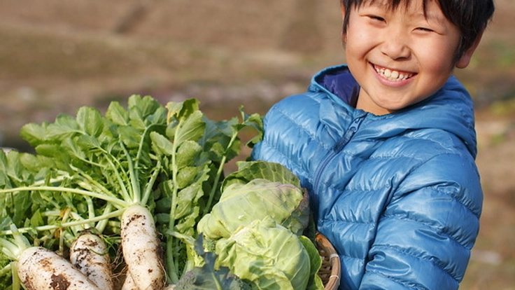 新しい療育支援！子どもたちの農園型フリースクールを開校したい