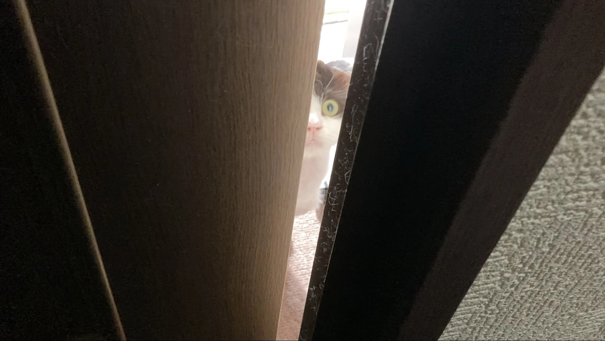 11/14〜15のテオくんの様子