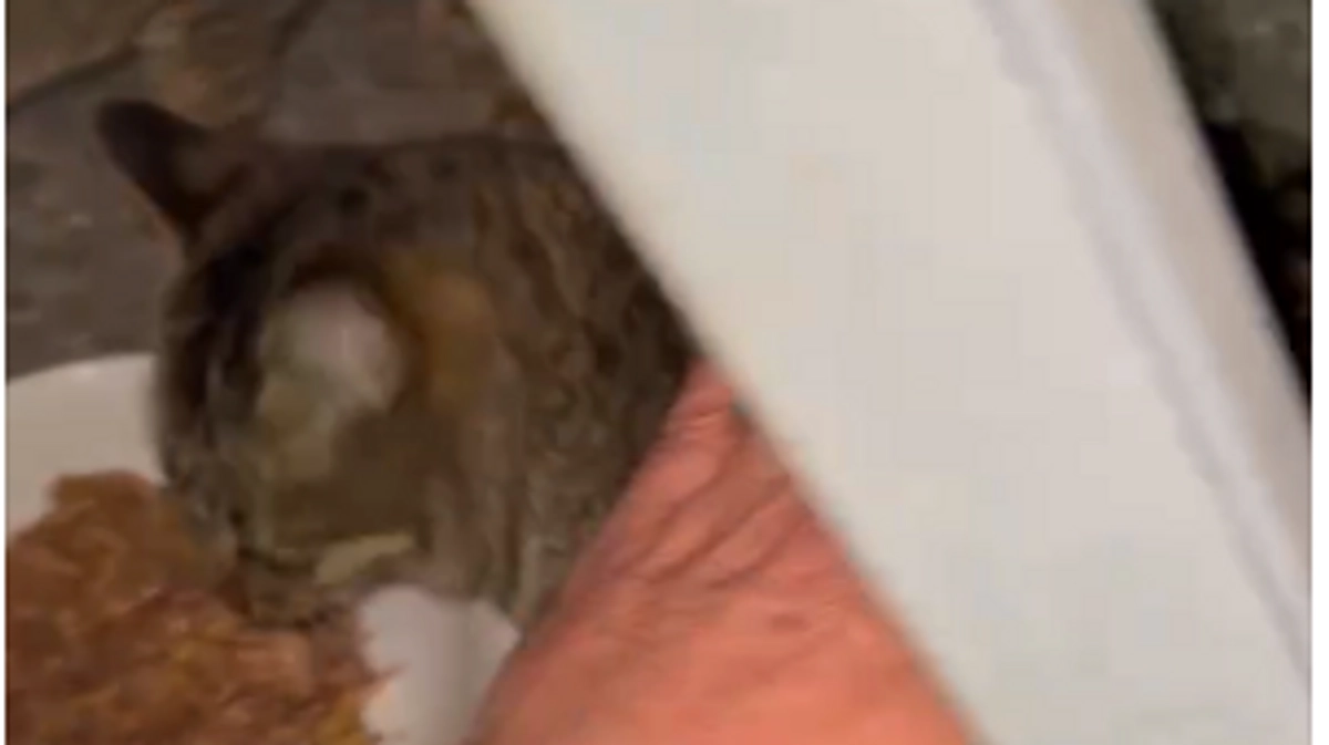 凄く寒いですね💦