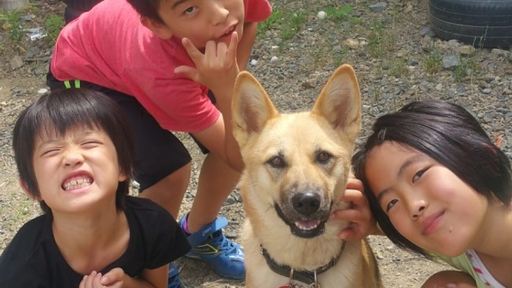 命の大切さ伝える保護犬写真集を作って学校や図書館にとどけたい