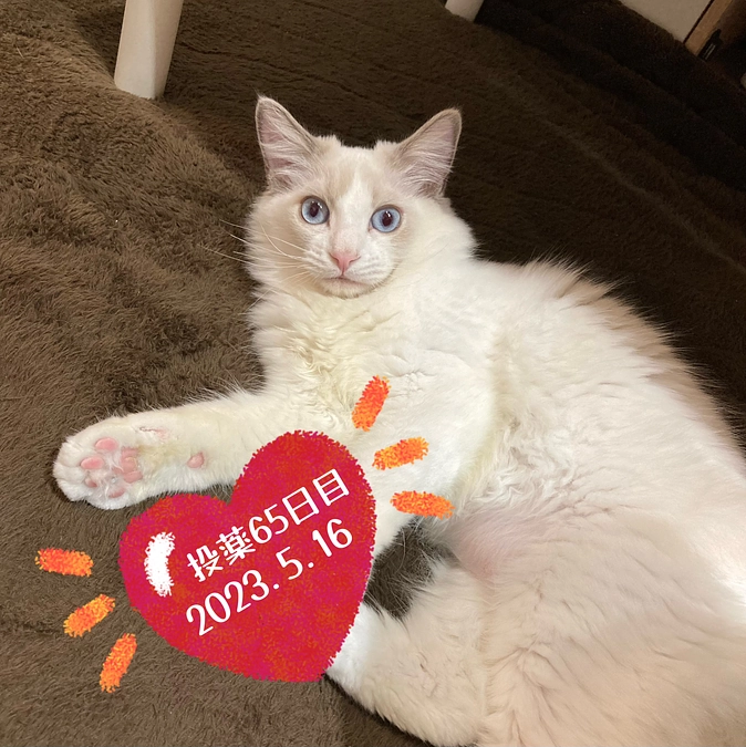 投薬６５日目(2023.5.16)&ご支援のお知らせ