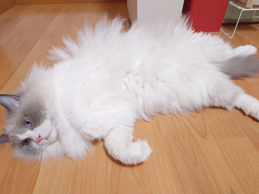 更新遅くなりすいませんでした🙇