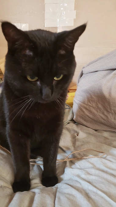 連絡遅くなりすみません