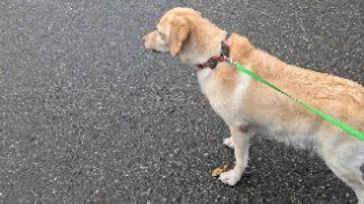 雪はないですが・・・寒いですね