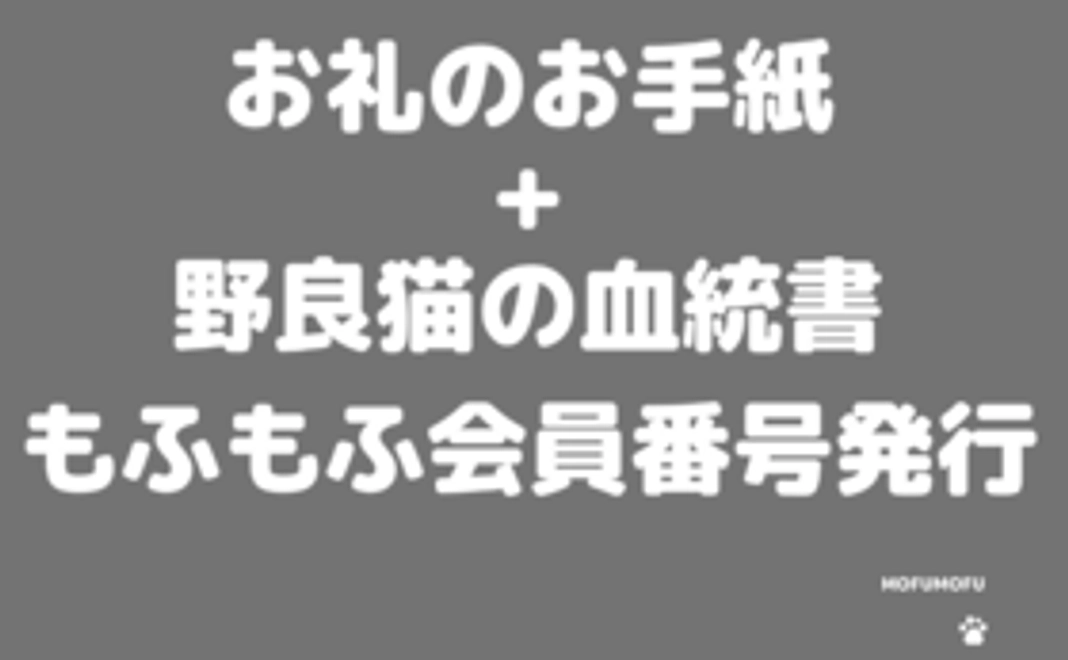 【支援者様へ②】