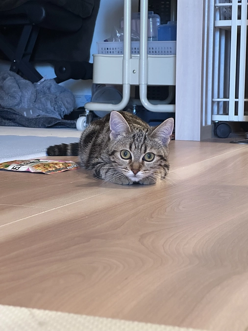 クラウドファンディング達成のご報告