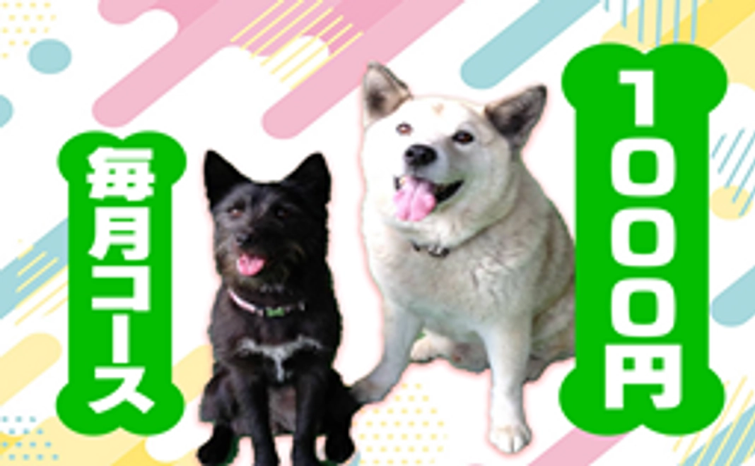 毎月1000円コース