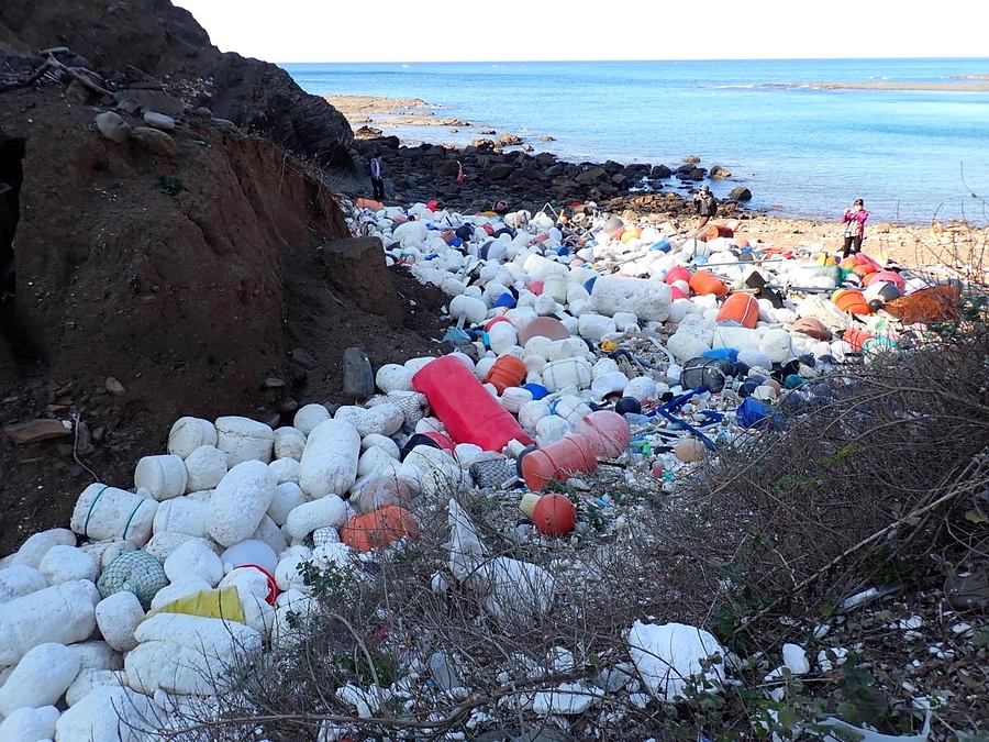 開始3日で305,000円のご支援をいただきました！