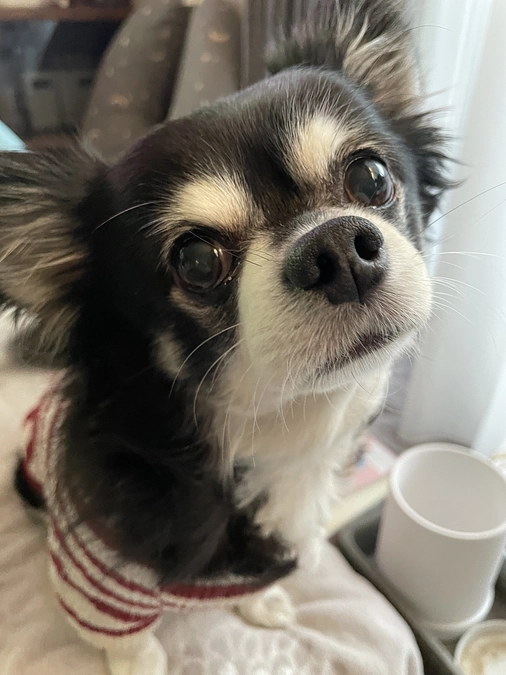 ありがとうございました