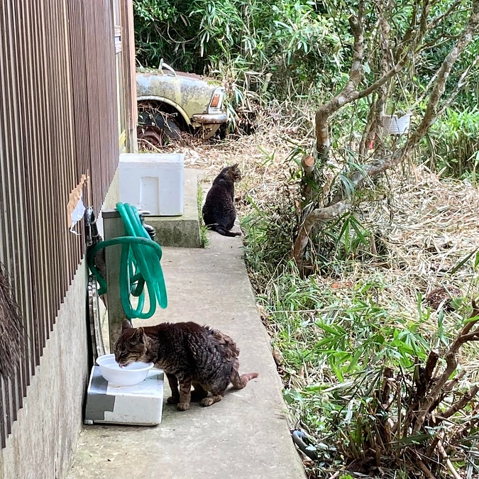 崩壊現場　スッキリしました！