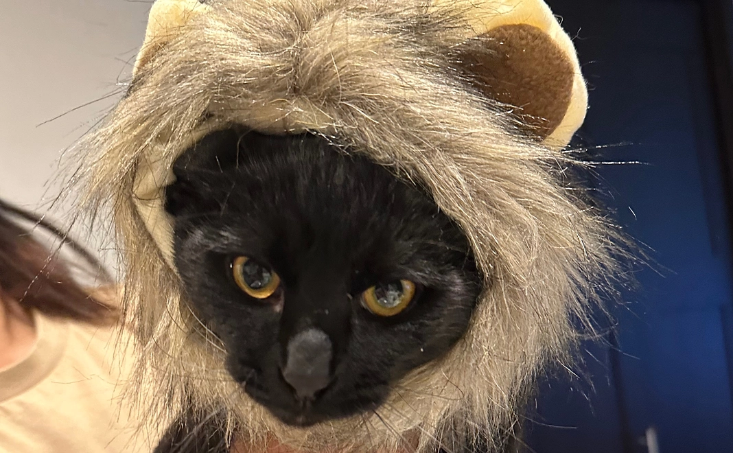 ご支援ありがとうございます！