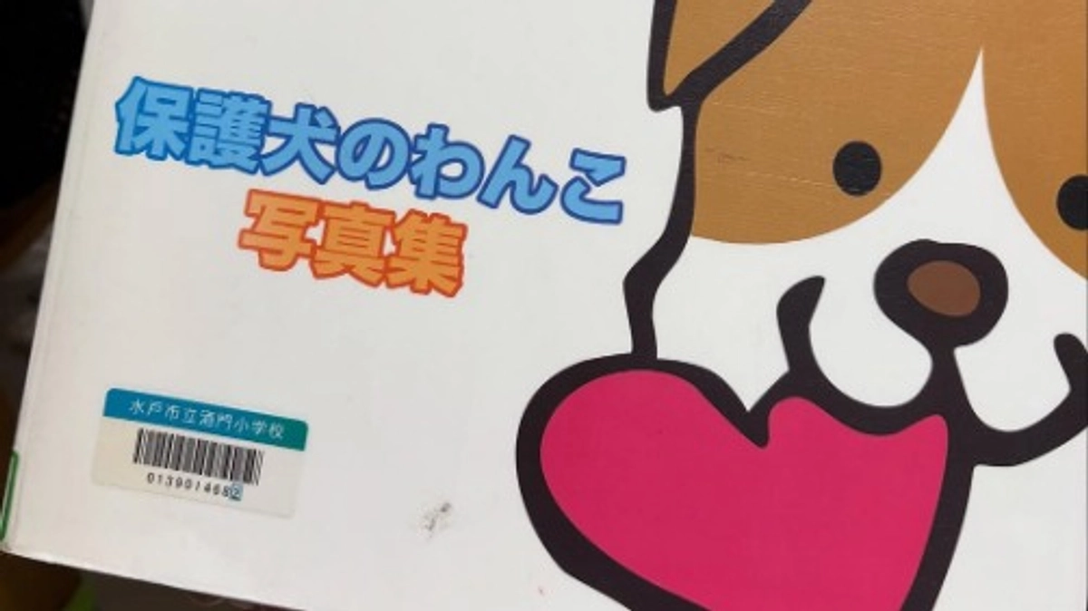 初めてのクラファンはこの「写真集」でした！！