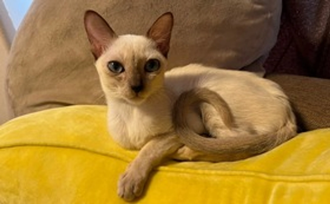 はる応援1,000円