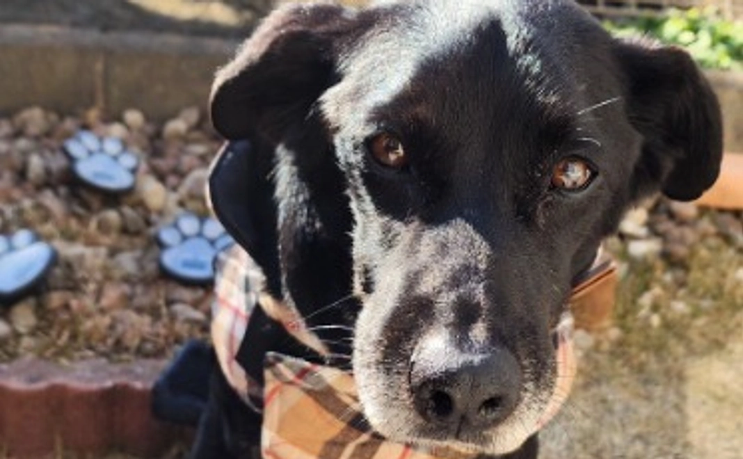 マンスリー継続応援10,000円コース