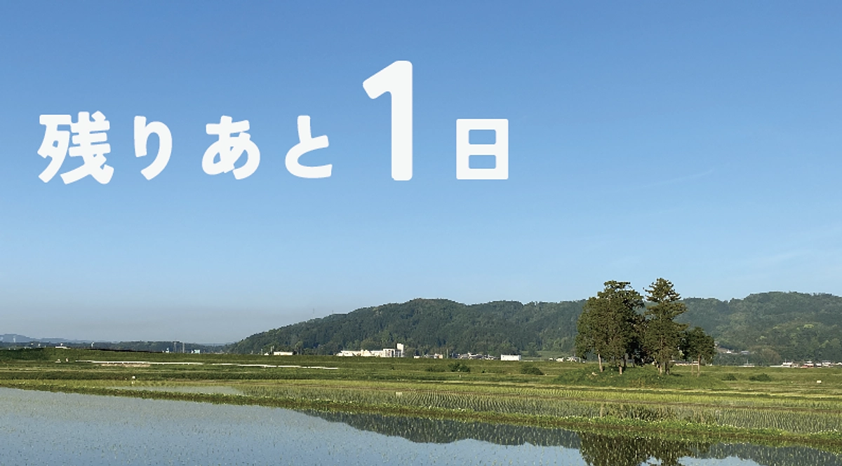 【残り27時間】８０％突破！さらに地域活性構想でうれしいご報告！