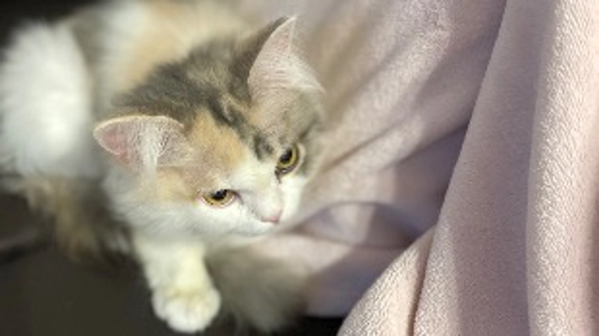 投薬治療延長になってしまいました😰