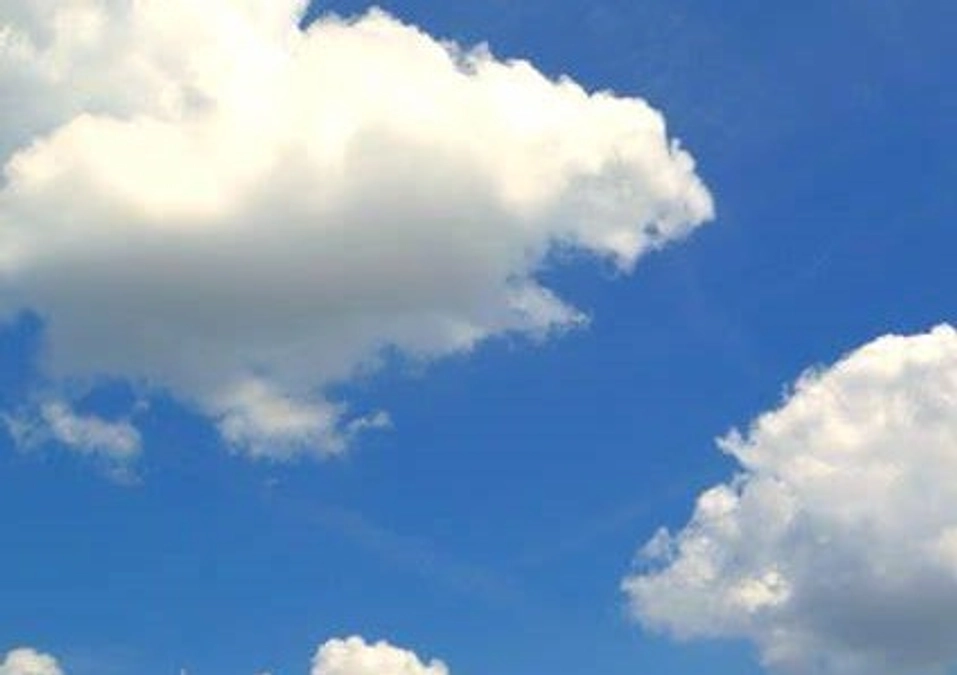 実行委員会の青戸です！！