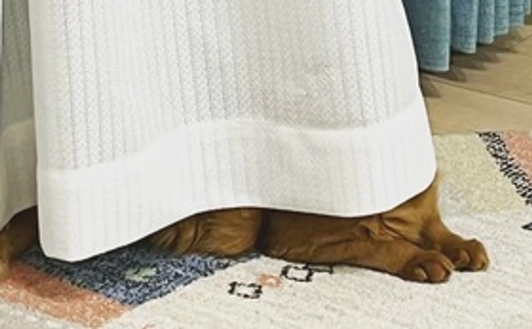 パトラを元気に！！