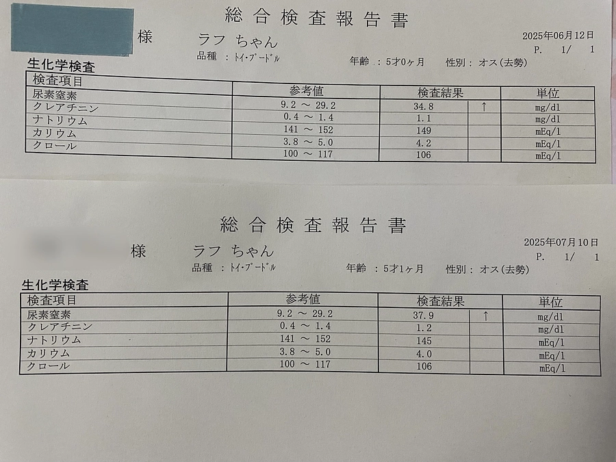 ラフ君、病院に行ってきました