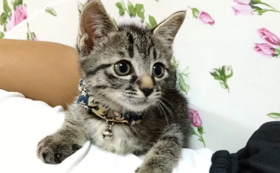 リターン不要　4