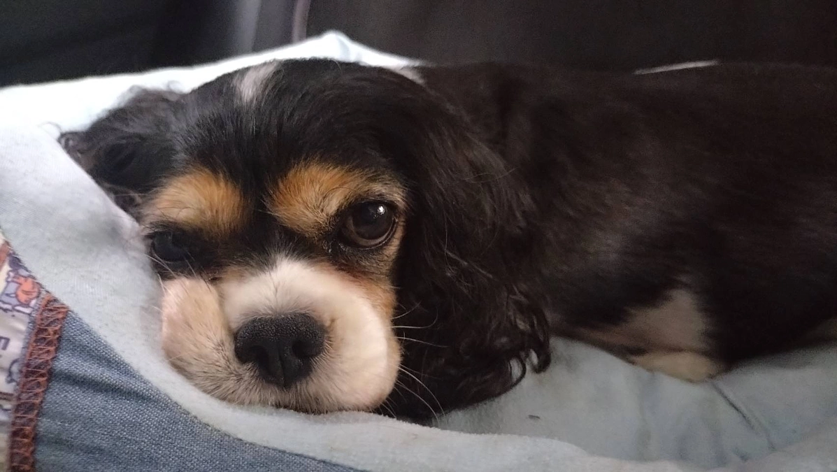 10月9日かかりつけ受診