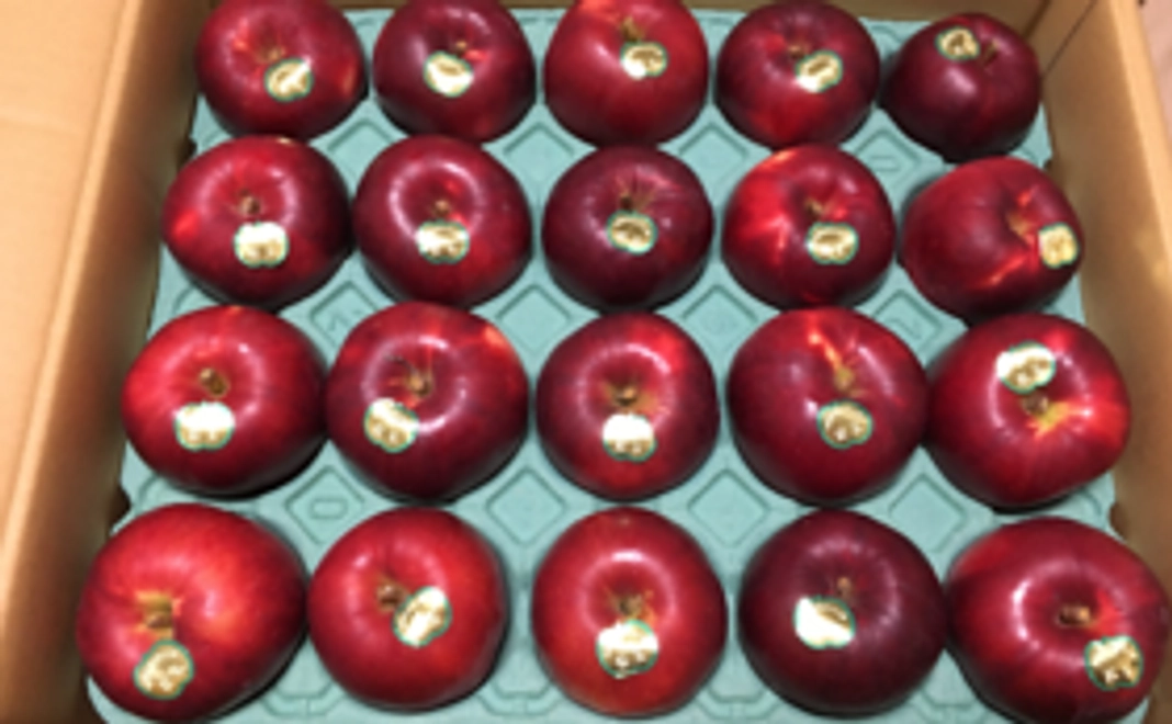 【おすそわけ用にも!】もひかん林檎特選品10kg+乾し林檎