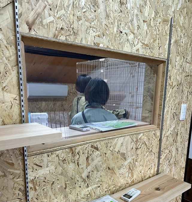 保健所の立ち入り検査でした🐈