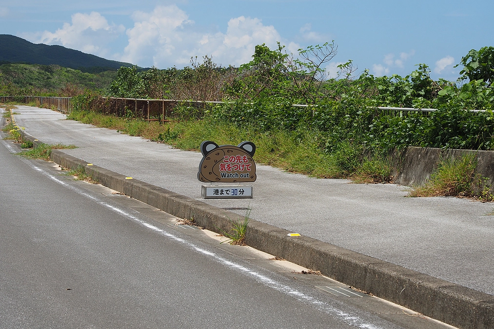 いつもとは違った見方－ヤマネコのごはん目線－