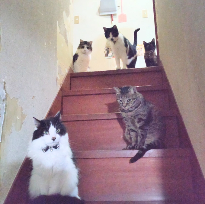 今日は少なめ⁈