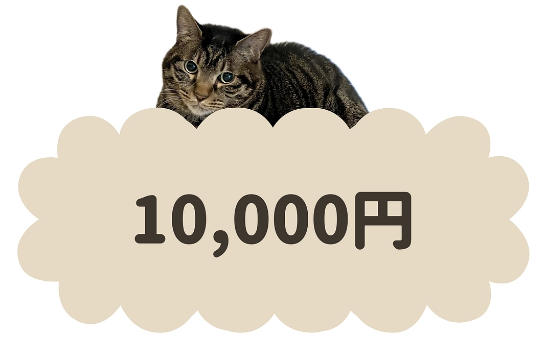10000円コース