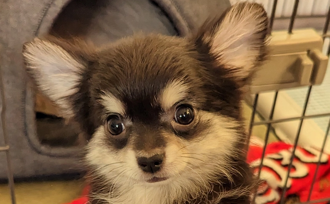 感謝の気持ち(１)