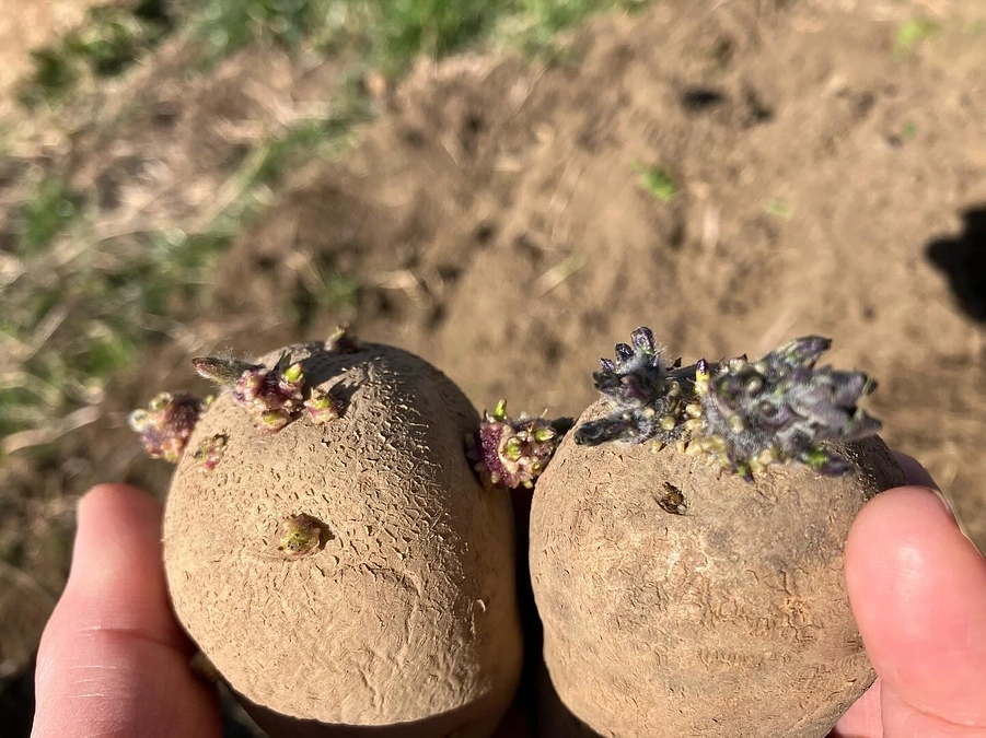 プロジェクト公開開始しました！