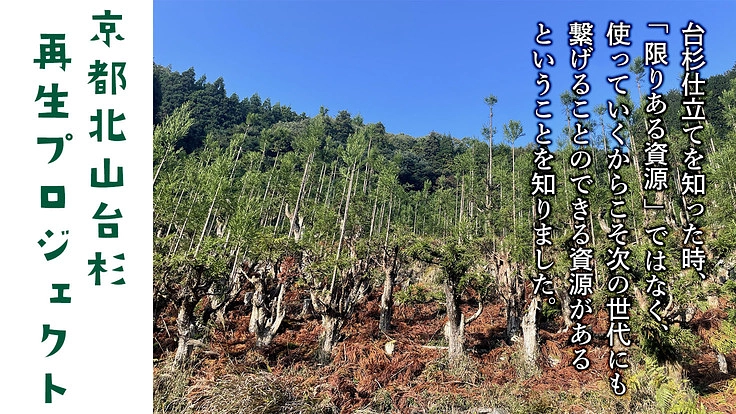 未来を描くえんぴつを！北山台杉からの贈り物を子どもたちへ！ 2枚目