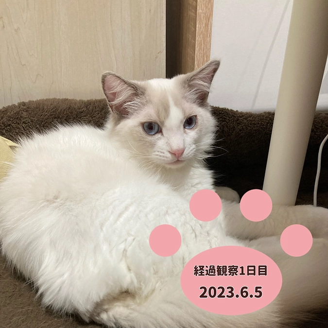 経過観察1日目(2023.6.5)