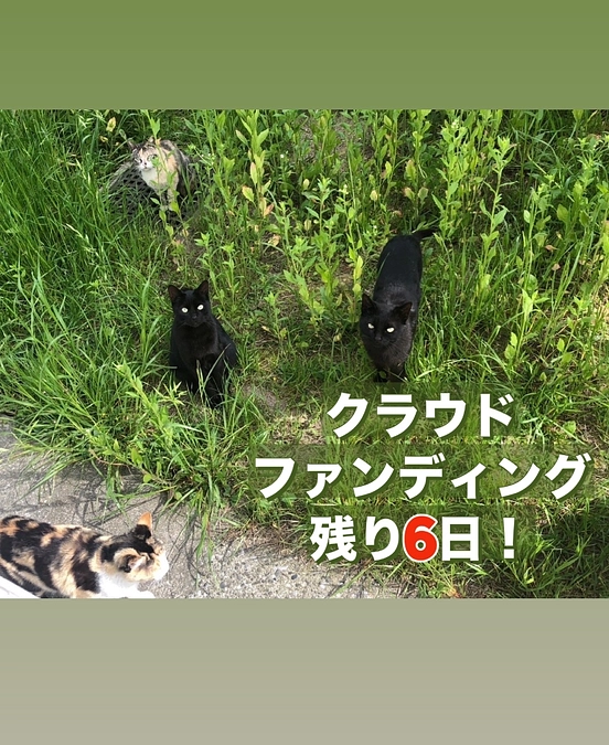 クラウドファンディング終了まで残り6日！