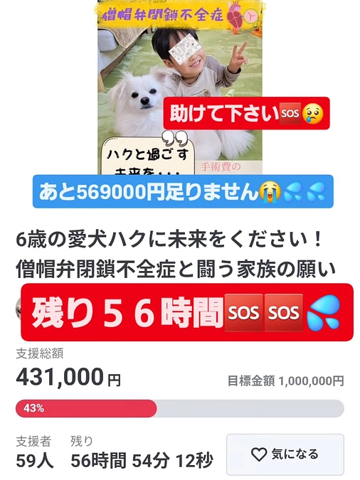 【残り５６時間】達成率４３％