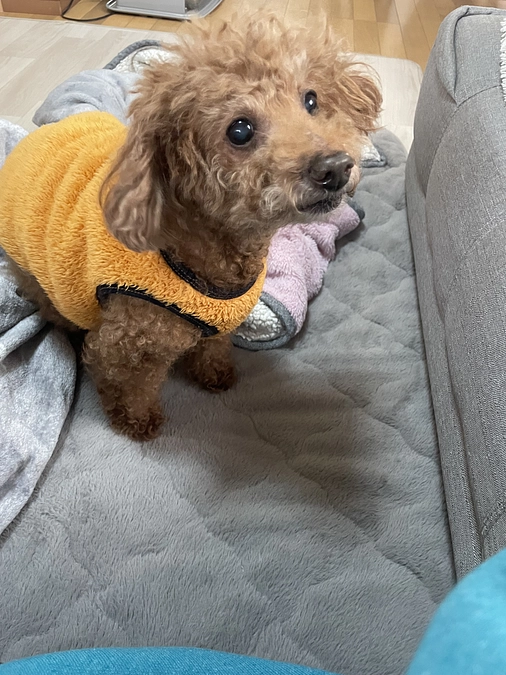 本日インスタライブさせていただきます！