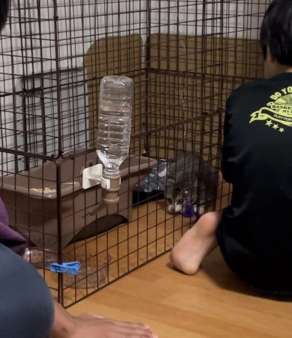 57%！！ありがとうございます！！