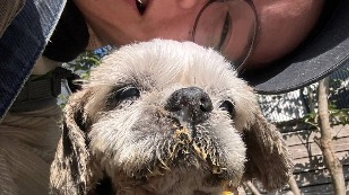 やまと茶房　やまとたろさん様から応援メッセージをいただいております！