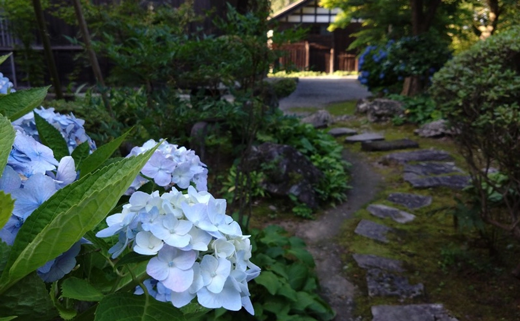 三浦館 応援２【感謝のメール・三浦館PC用壁紙】