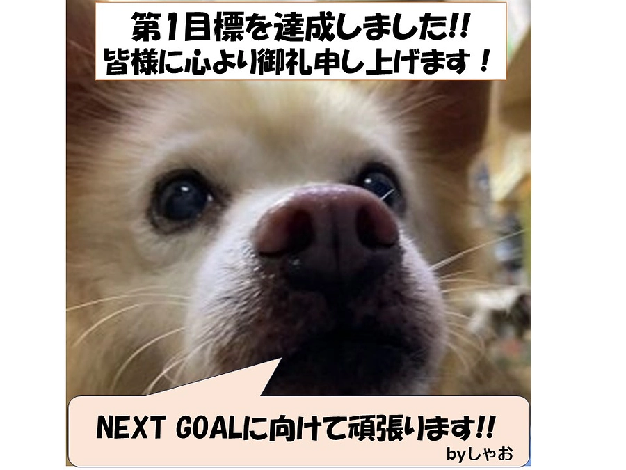 第一目標達成の御礼とネクストゴールに向けて