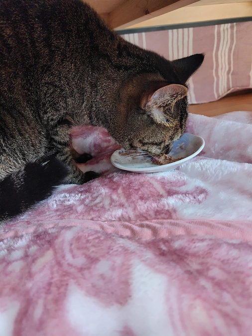 おはようございます😊