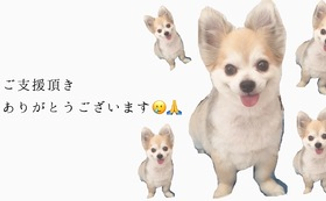 ぽんた応援コース1