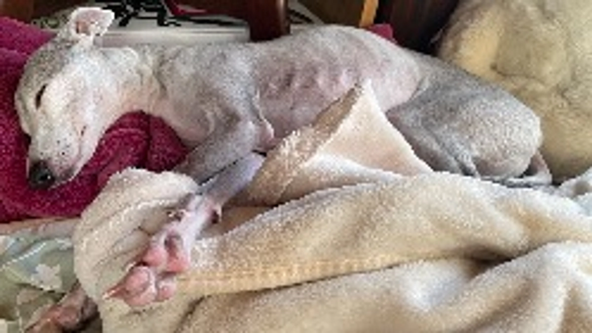 精密検査は9月7日です💦もうすぐ💦