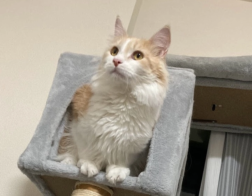 10/28ルイの様子