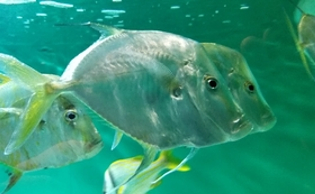 お礼のメッセージ、今後のビジョンをメールにて返信させていただきます