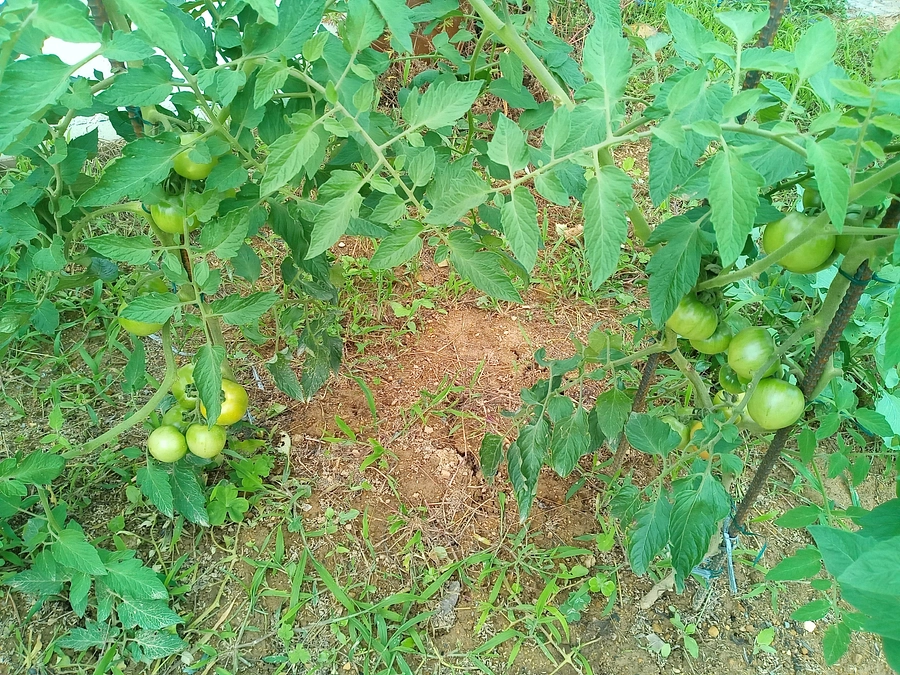 見えない細やかな努力