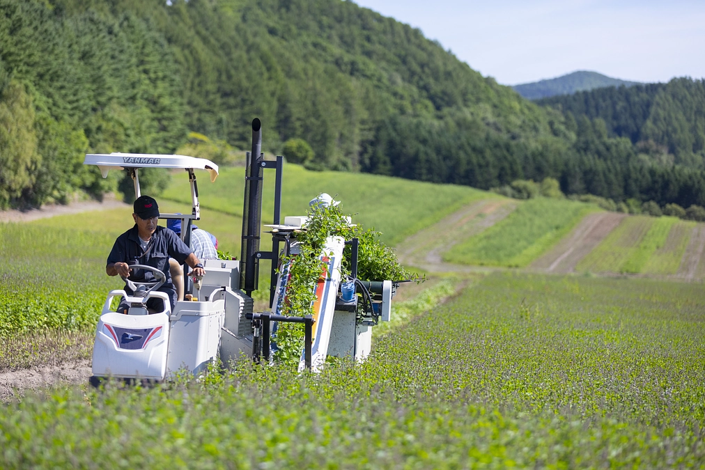 トラスト・エール　スペシャルウィーク②　滝上ふるさと研究会（北海道紋別郡滝上町）