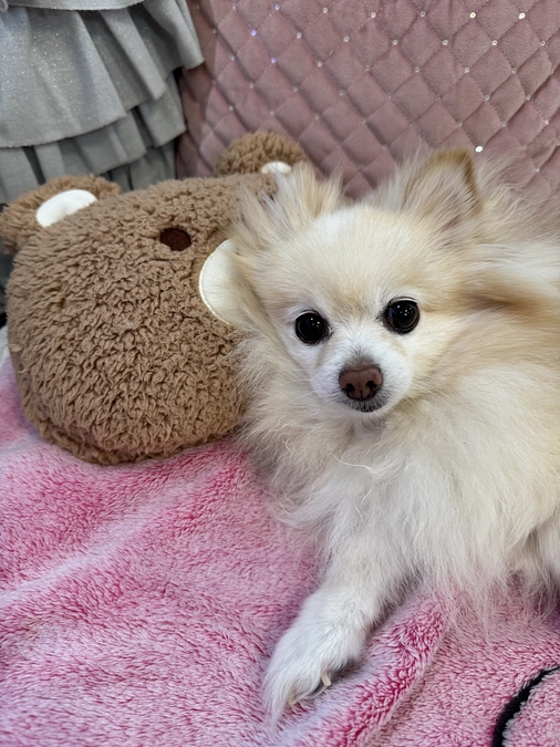 よろしくお願いします。