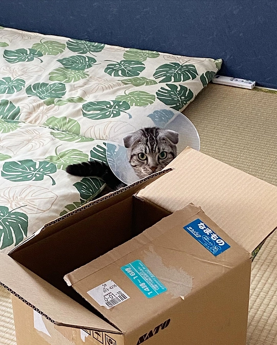 2023.6.23🔥 #闘病生活 66日目🔥